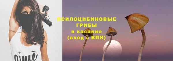 apvp Алексеевка